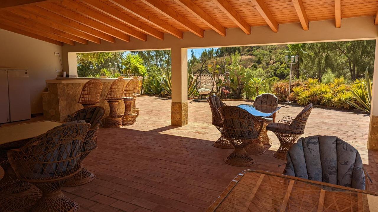 Montes de Cima Casa Do Palmeiral - Hoom B&B المظهر الخارجي الصورة