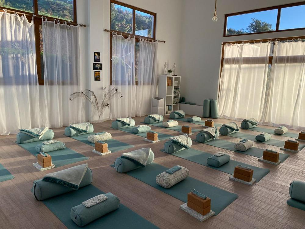 Montes de Cima Casa Do Palmeiral - Hoom B&B المظهر الخارجي الصورة