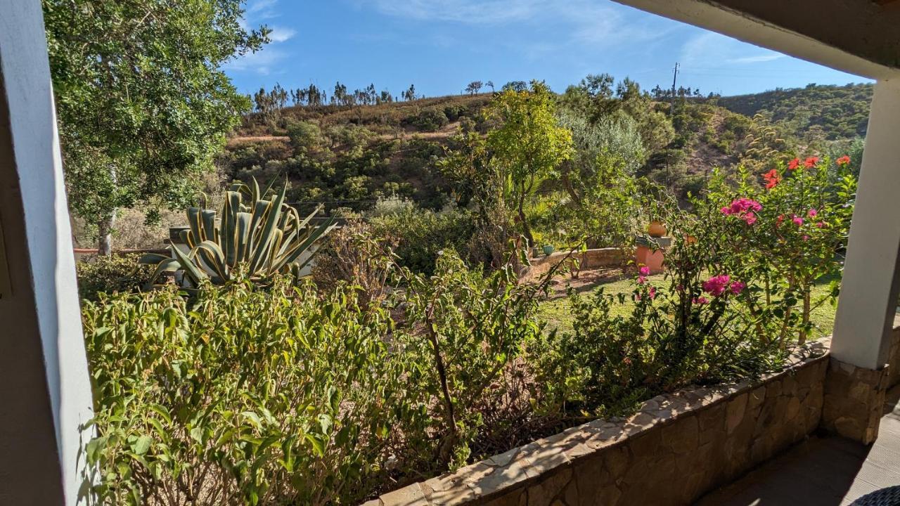 Montes de Cima Casa Do Palmeiral - Hoom B&B المظهر الخارجي الصورة