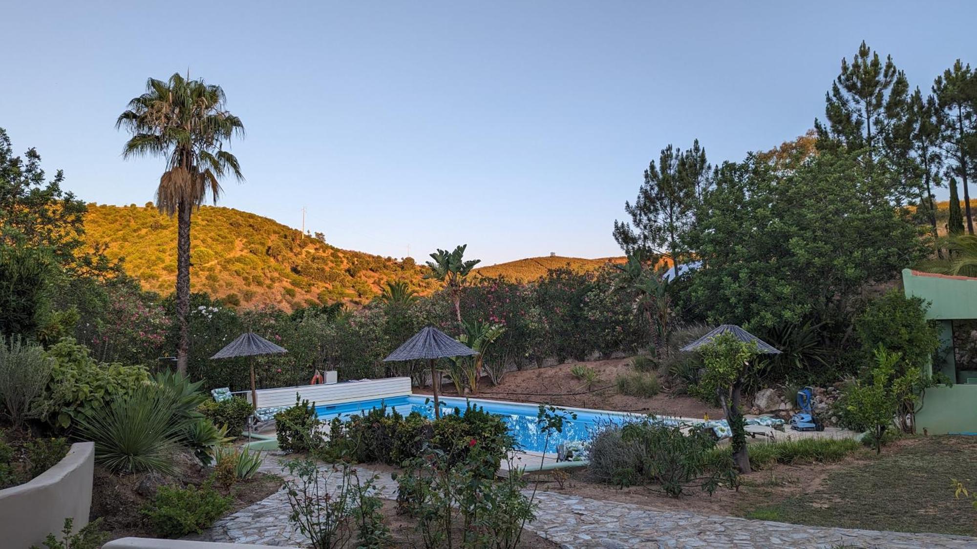 Montes de Cima Casa Do Palmeiral - Hoom B&B المظهر الخارجي الصورة